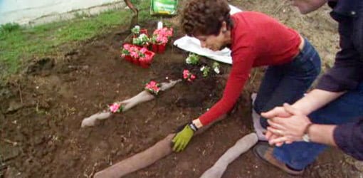 DIY Tip for Anchoring Plants on a Steep Slope in Your Yard
