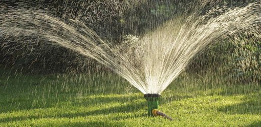 Sprinkler watering lawn.