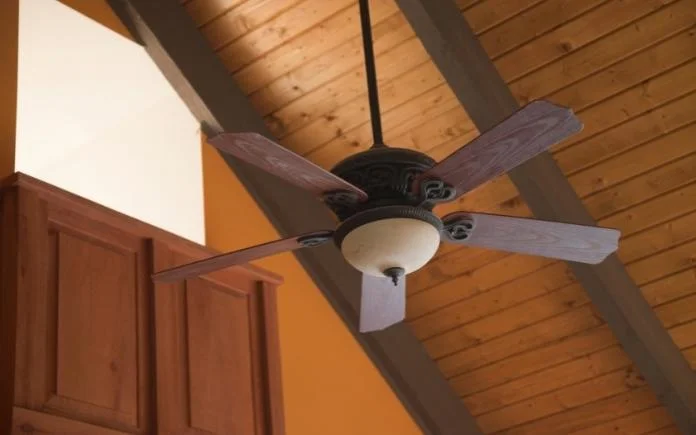 Ceiling Fan Direction What Rotation To, Do All Ceiling Fans Have A Hot And Cold Switch