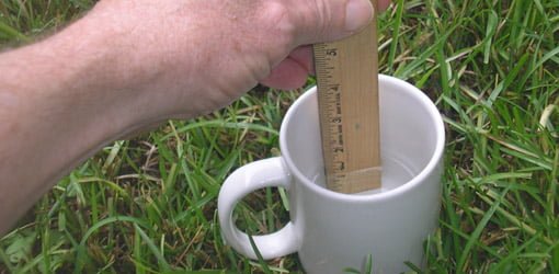 Measuring water in a cup
