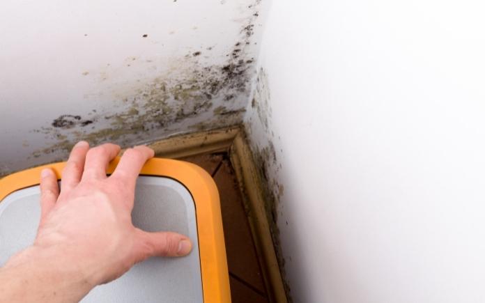 Removing Mold