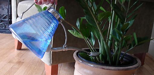 Watering houseplant.