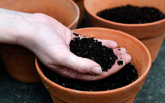 Terra cotta pot with soil