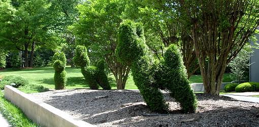 Topiary shrubs shaped like dogs
