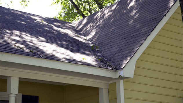 Roof Cleaning Tips