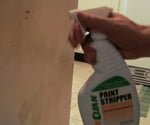 soybean paint stripper
