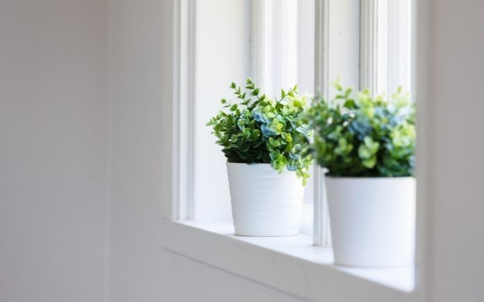 How to Create Sunlight Indoors for Plants 