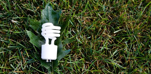 CFL bulb with grass