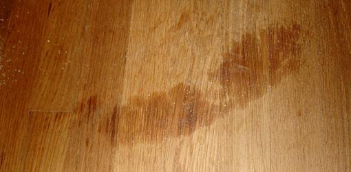 Removing Oil Stains From Hardwood, How To Clean Paint Splatter Off Hardwood Floors