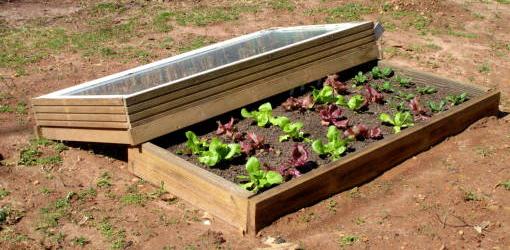How to Make a Cold Frame to Grow Vegetables or Flowers - Today's 