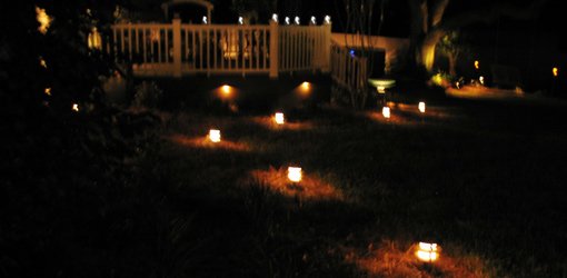 Yard and deck at night lit by landscape lighting.