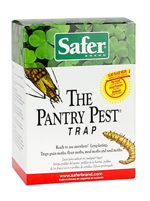 How To Get Rid Of Pantry Moths And Larvae In Your Kitchen