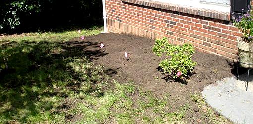 How To Amend Soil Around Shrubs And, How To Add Soil Perennial Garden