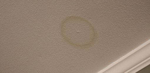 Water stain on ceiling caused by roof leak.
