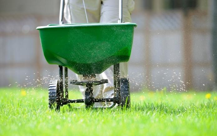 Rolling wheel barrow spreading granular fertilizer over a green lawn