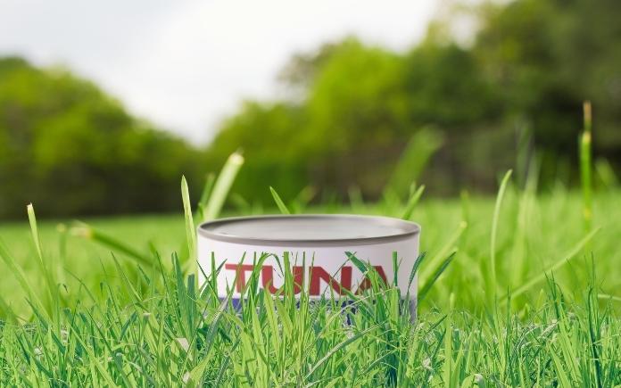 Tuna in Grass