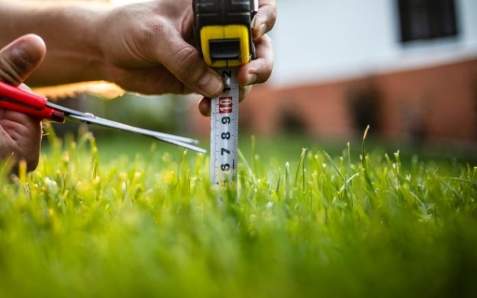 Measure Grass