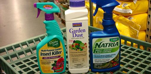 Products containing pyrethrum insecticide
