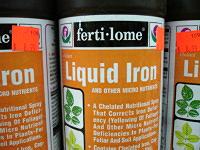 Container of liquid iron supplement