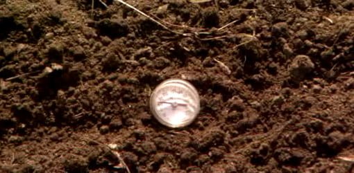 meat thermometer in soil
