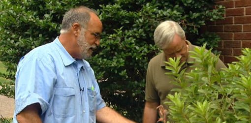 landscape architect Tony Seymour and home improvement expert Danny Lipford examining shrubs in yard