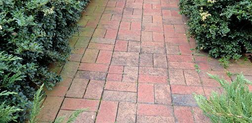 Brick paver walk