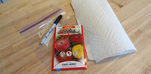 Seeds, marker, baggie, and paper towel