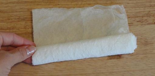 Rolling seeds up inside wet paper towel