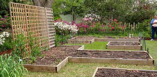 Raised beds made of wood