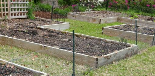 Multiple wood raised beds with wide aisles for easy access