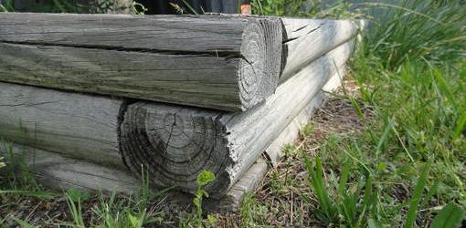 Raised bed made from pressure treated landscape timbers