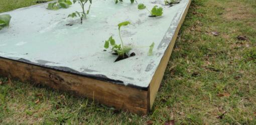 Wood raised bed with weed barrier on top