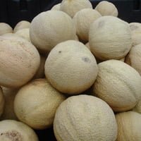 Cantaloupe for sale at fruit stand