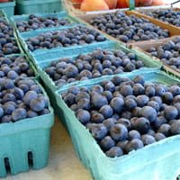 Blueberries for sale at fruit stand