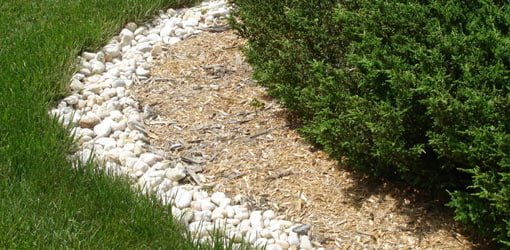Wood mulch in foundation planting bed