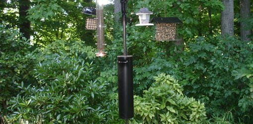 Homemade bird feeder baffle on pole