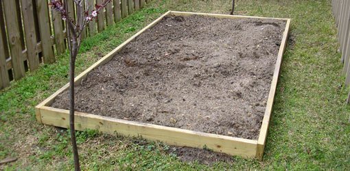 Raised bed garden made from pressure treated lumber