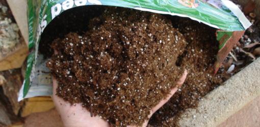 Bag of peat and vermiculite mix.