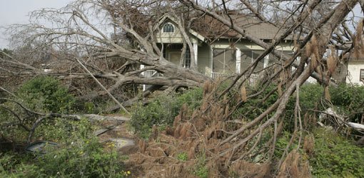Hurricane tree damage to house