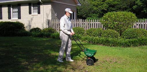 Użycie rozsiewacza nawozów do zastosowania środka przeciwgrzybiczego na trawniku