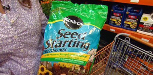 Bag of Miracle-Gro Seed Starting Potting Mix