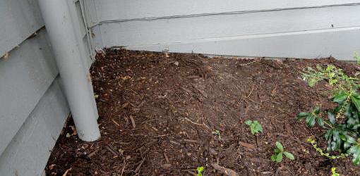 Does Wood Chip Mulch Attract Termites, Is It Good To Put Mulch Around Your House
