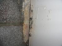 Mold on concrete block foundation wall.