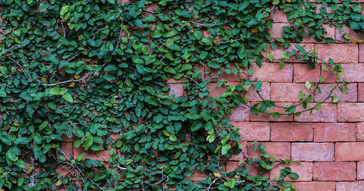 Single Brick Mold Forever Green Art Repurposed Single Brick Mold