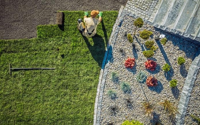 Landscaper laying turf/sod on a lawn