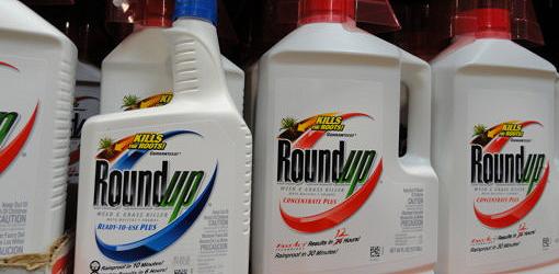 Roundup (glyphosate) Weed Killer