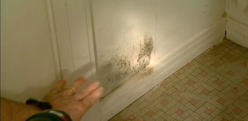 Mold and mildew growing in bathroom closet.