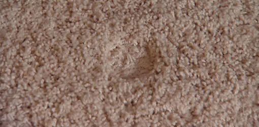 Indentation in carpet caused by furniture leg.