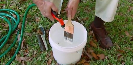 Cleaning a paintbrush with a garden hose.