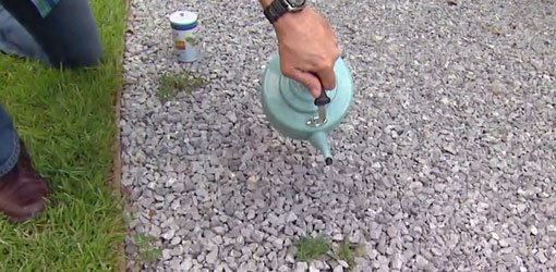 Pouring boiling water on weeds in a gravel driveway.